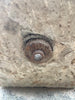 Pila de piedra 36,5 cm