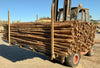 Vigas de madera redondas muy finas.