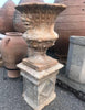 Copas de jardín.
