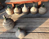 Damajuanas con esparto.
