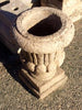 Copas de jardín.