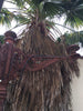 Farolas antiguas con brazos.