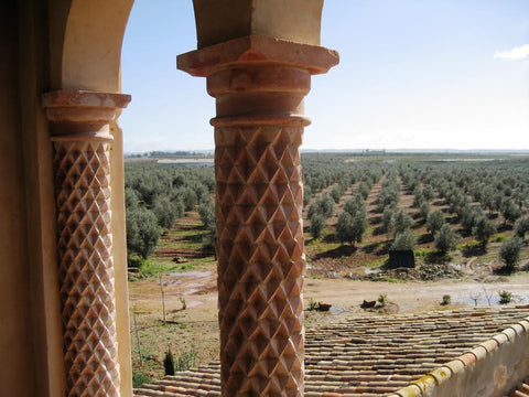 Columnas de barro